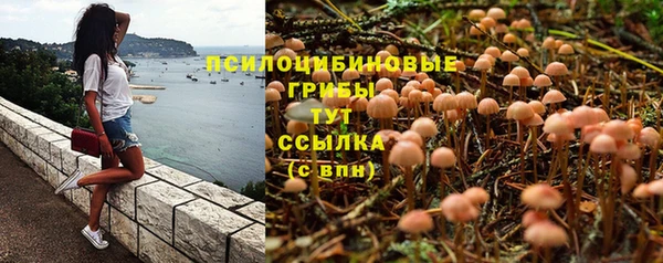 jwh Михайловка