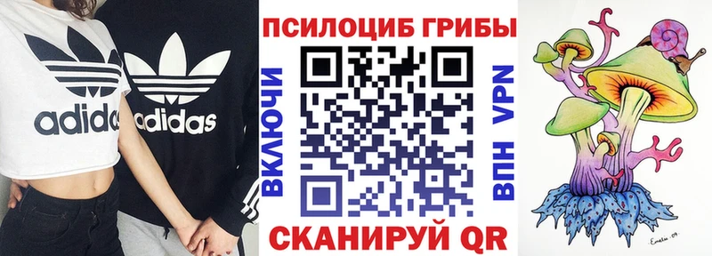 Псилоцибиновые грибы Psilocybe  Купить  Первоуральск 